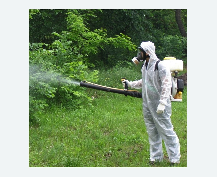 обработка территории от клещей в Беговом районе Москвы