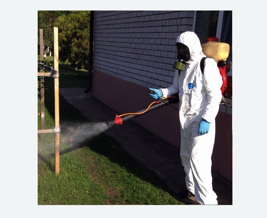 травля клещей на участке в Беговом районе Москвы