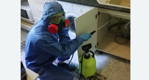 Уничтожение муравьев в квартире. Беговой 