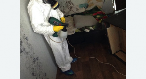 Обработка квартир от насекомых в Беговом районе Москвы