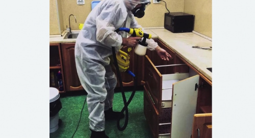 Дезинсекция квартиры. Беговой 