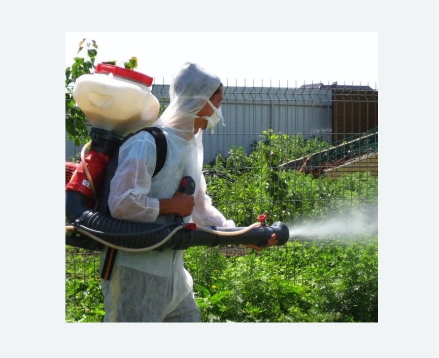 Акарицидная обработка территории в Беговом районе Москвы