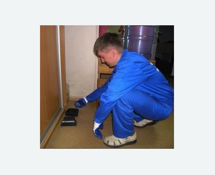 Дератизация крыс в Беговом районе Москвы