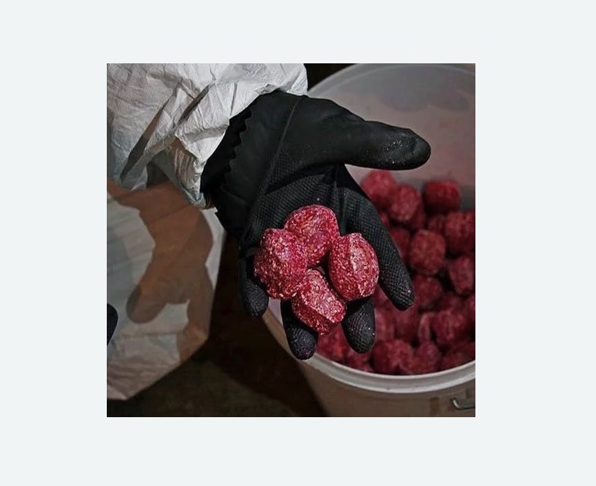 Обработка от крыс в Беговом районе Москвы