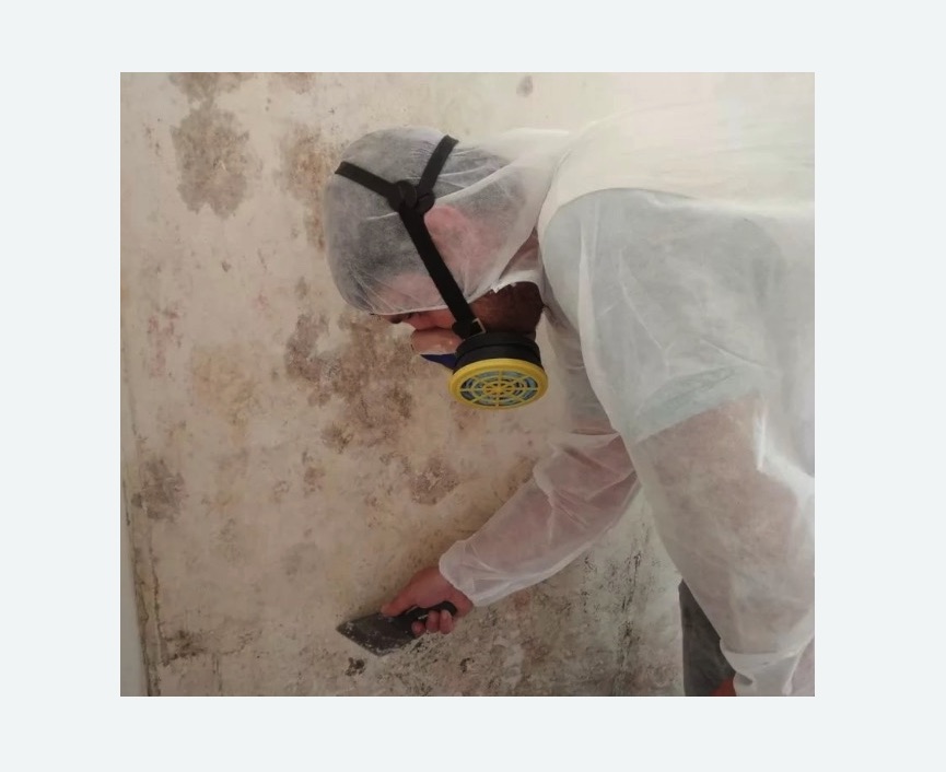 Обработка стен от плесени в Беговом районе Москвы