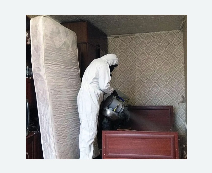 дезинфекция от клопов в Беговом районе Москвы