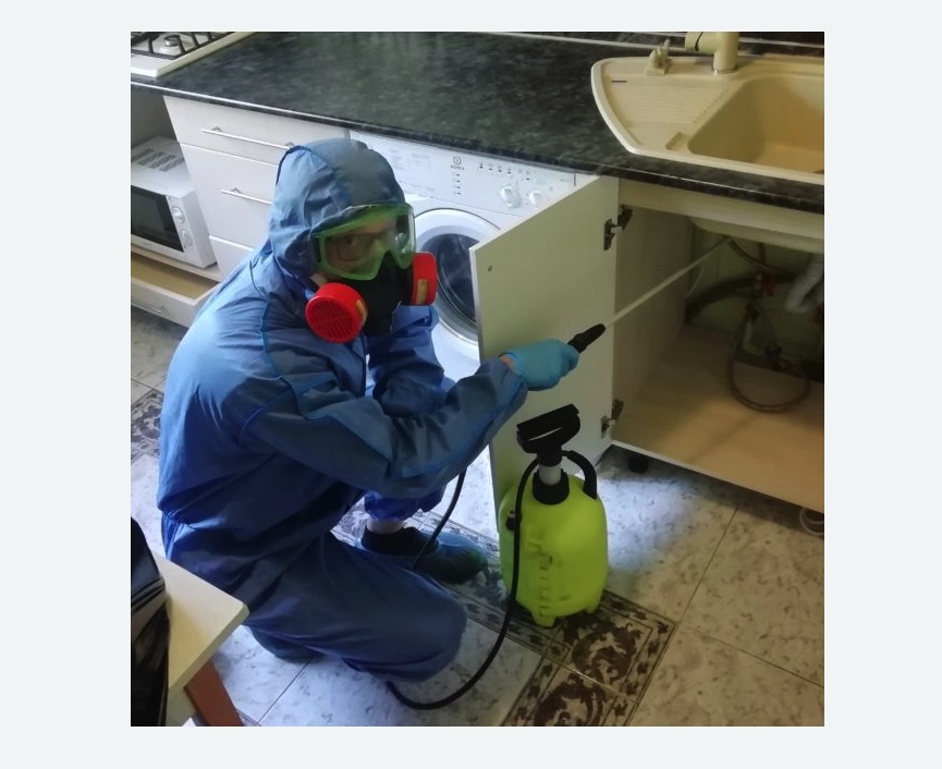 обработка от муравьев в квартире в Беговом районе Москвы