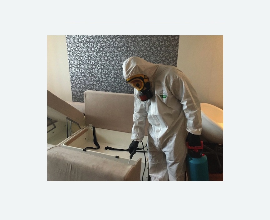 уничтожение клопов в квартире в Беговом районе Москвы