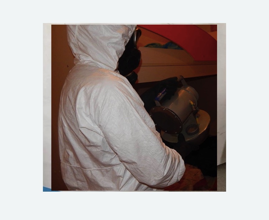 Дезинфекция от муравьев в Беговом районе Москвы