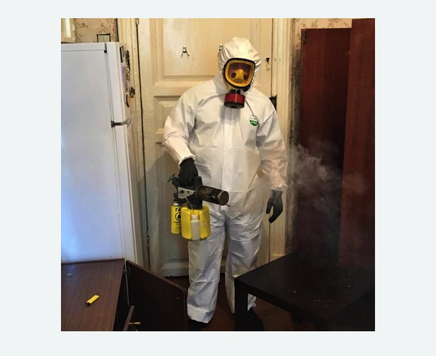 уничтожение муравьев в квартире в Беговом районе Москвы